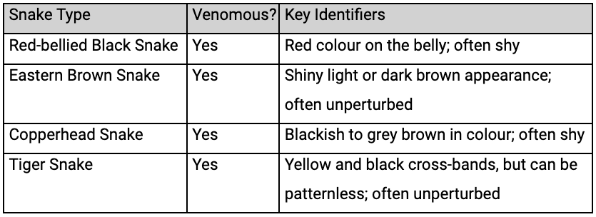 Image of venomous snake identifiers